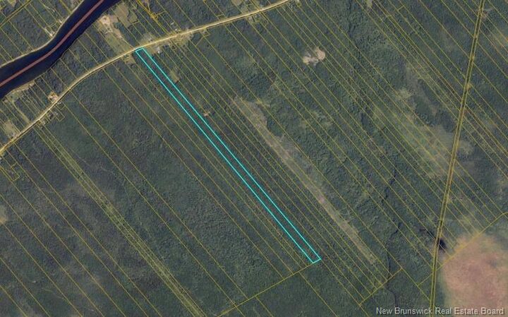 Property Photo:  47.9 Acres Rte 118  NB E9E 2H9 