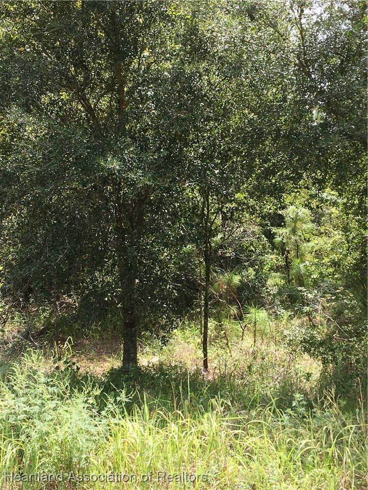 Property Photo: 2555 Pleasant Drive FL 33875