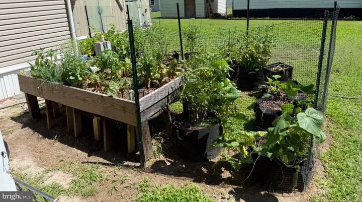 Property Photo:  35502 E Harbor Drive  DE 19966 