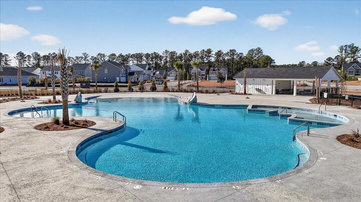 Property Photo:  121 Tupelo Bridge Drive  SC 29461 