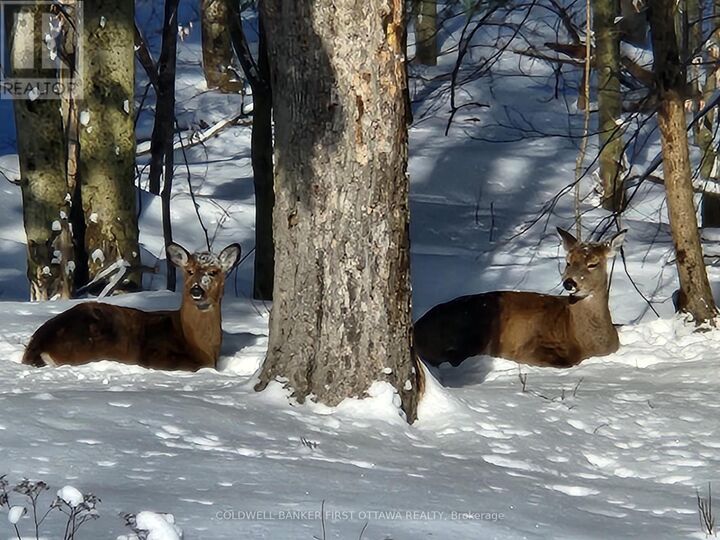 Photo de la propriété:  155 Maplebush Trail  ON K7H 3C7 