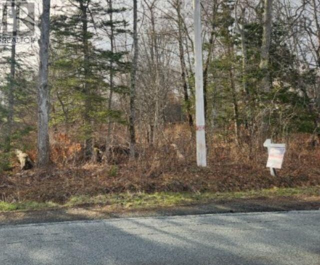 Property Photo:  8 Acres Cedar Road, Church Hill  NS B0N 1T0 