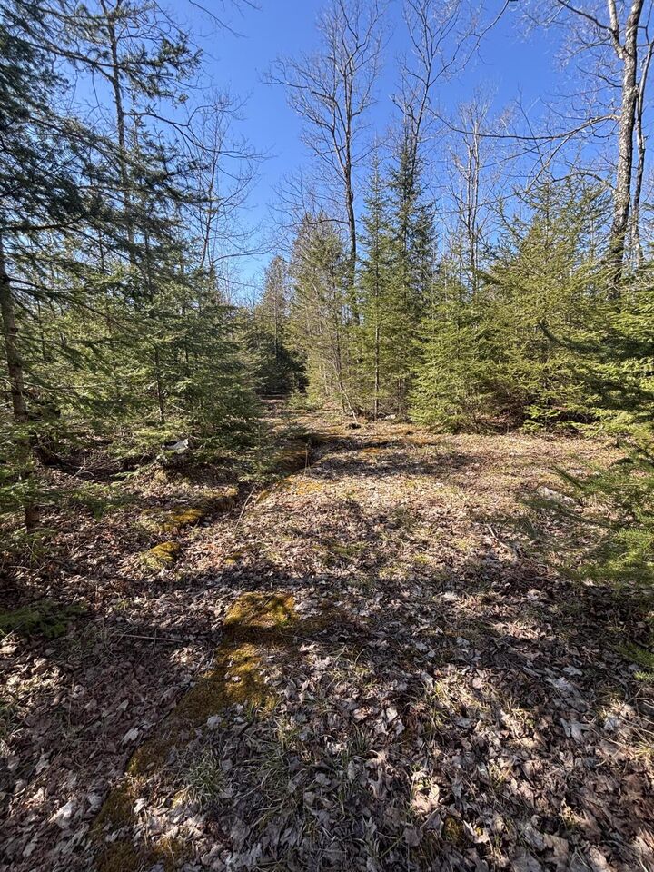 Property Photo: Tbd S Walding Rd MI 49726