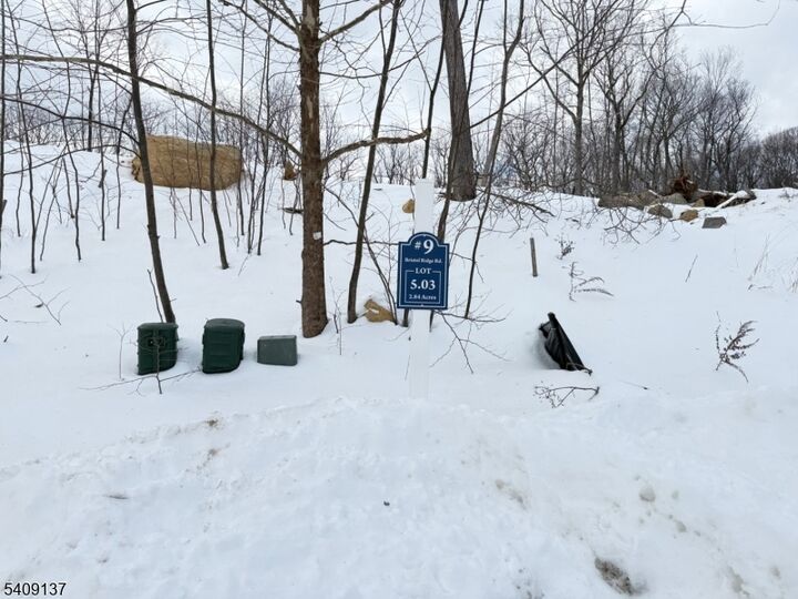 Property Photo:  9 Bristol Ridge Rd  NJ 07005 