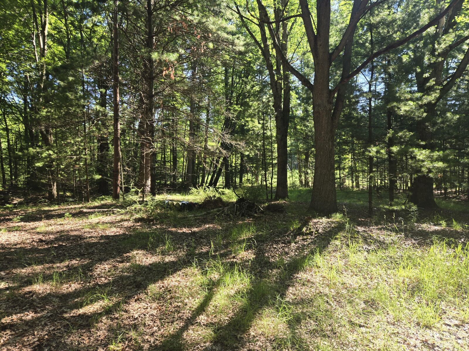Property Photo: 704 N Morris Street MI 49449