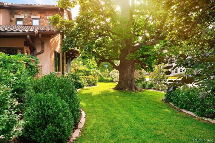 Property Photo:  101 Jersey Street  CO 80220 