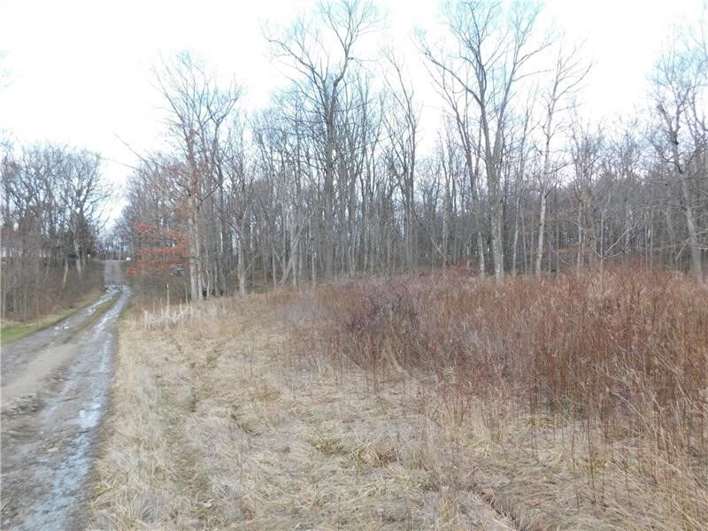 Property Photo:  0 Hope Rd Off Hopwood Fairchance Road  PA 15401 