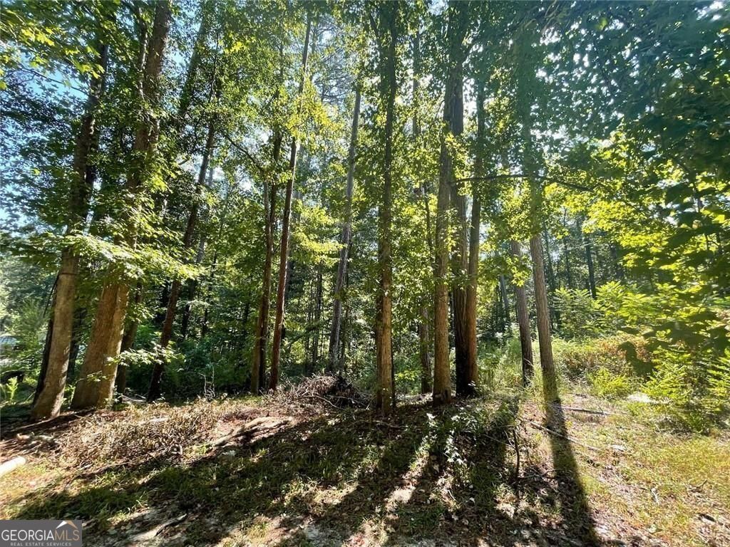 Property Photo: 6031 Falcon Court 8 GA 30106