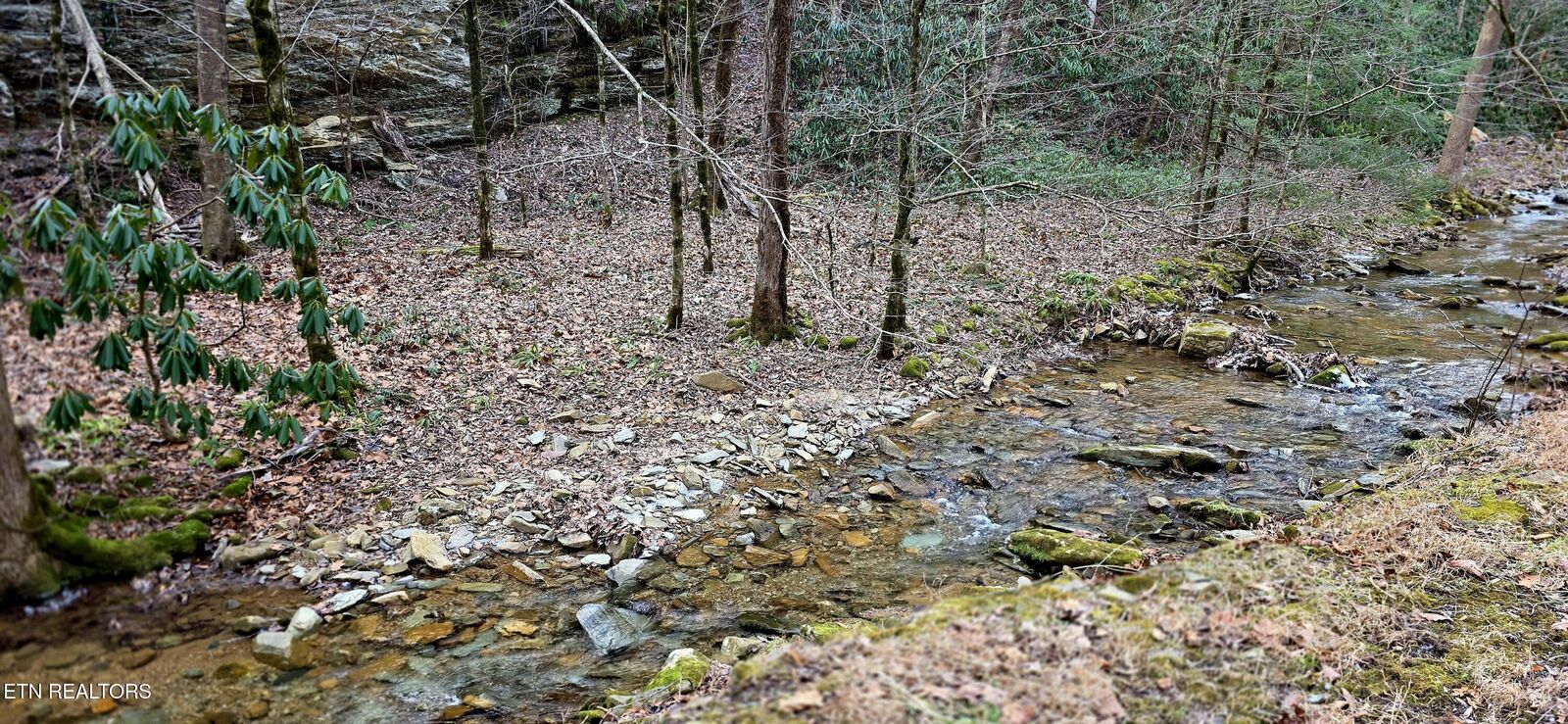 Property Photo:  N Clear Fork Rd  TN 37862 