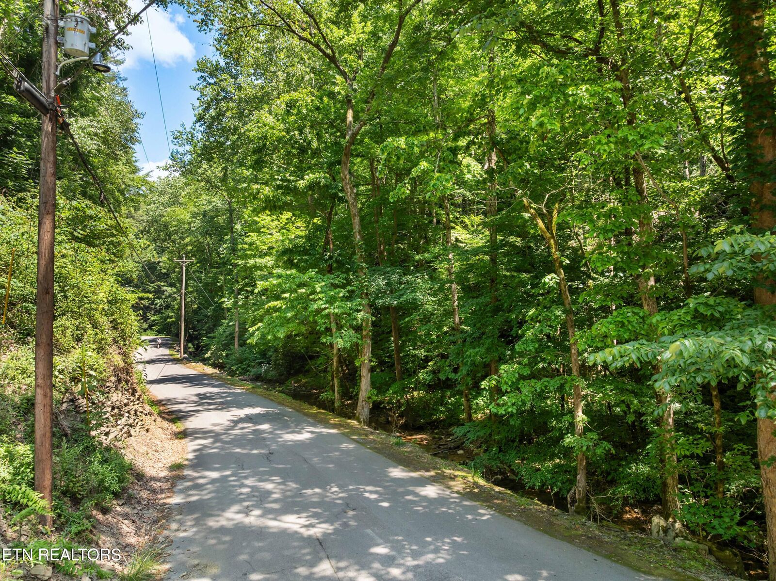 Property Photo:  N Clear Fork Rd  TN 37862 