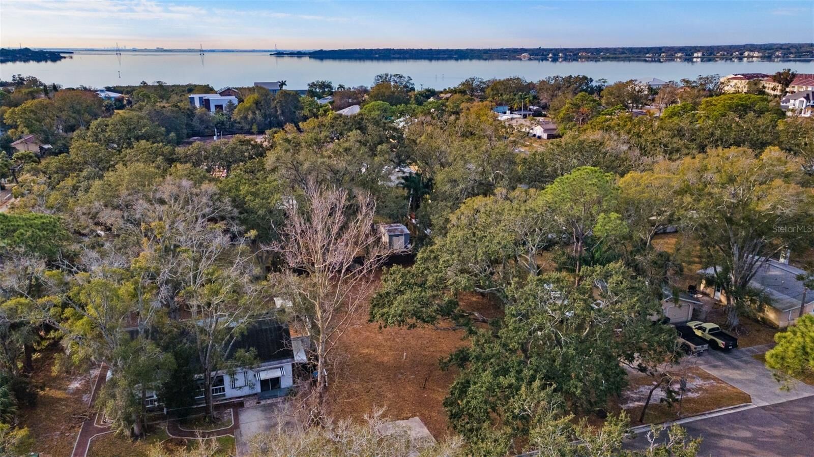 Property Photo:  503 Buckingham Avenue W  FL 34677 