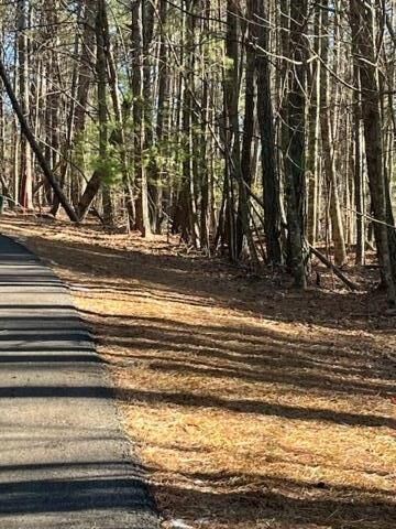 Property Photo: Lot 36R Lakeview Lane GA 30536