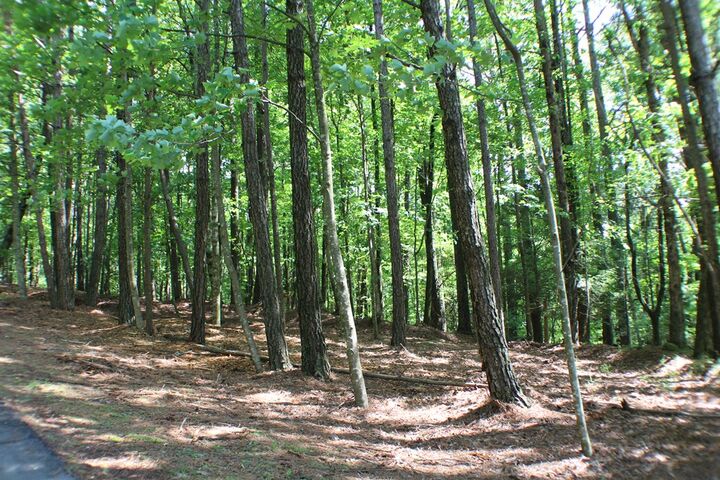 Property Photo:  Lot 36R Lake View Lane  GA 30536 