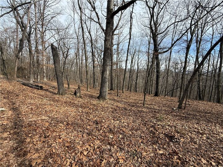 Property Photo:  Tract 3 Cardinal Ridge Road  AR 72632 