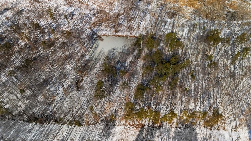 Property Photo: Abilene Rd VA 23901