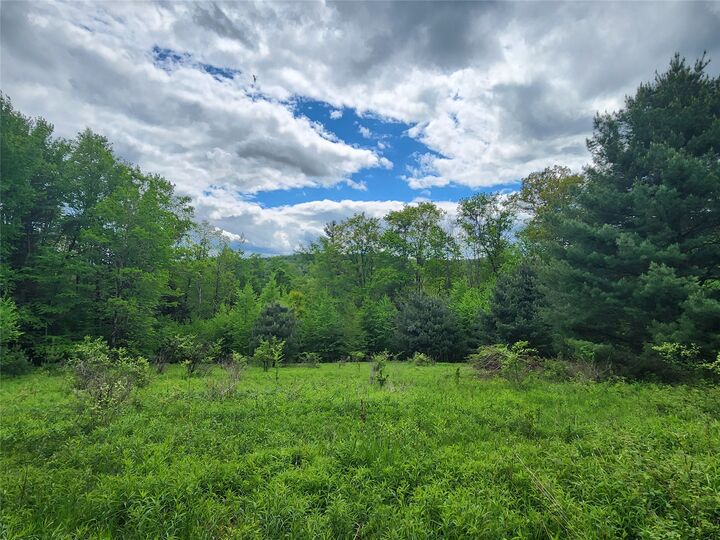 Property Photo:  0 Race Road  NY 13778 