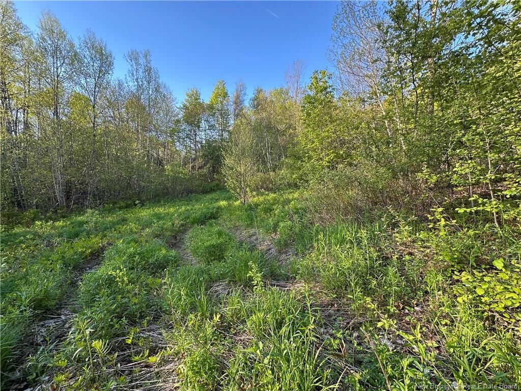 Property Photo:  - Highfield Road  NB E5P 1T2 