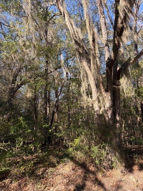 Property Photo: 0 Trade Hill Road GA 31320