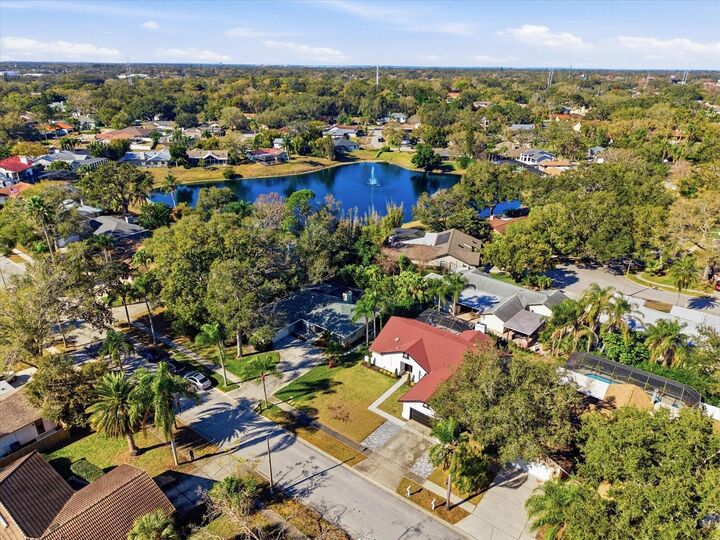 Property Photo:  4703 Orange Grove Way  FL 34684 