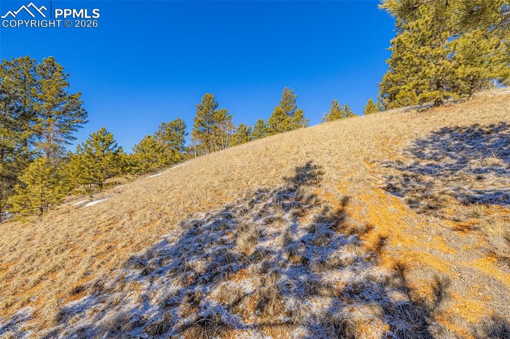 Property Photo:  772 E Bison Creek Trail  CO 80816 