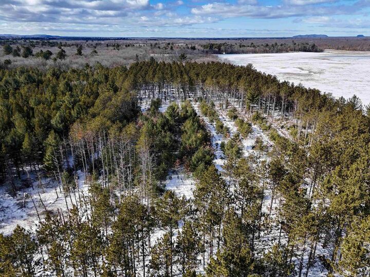 Property Photo: 19.81 Acres 6th Avenue WI 53936