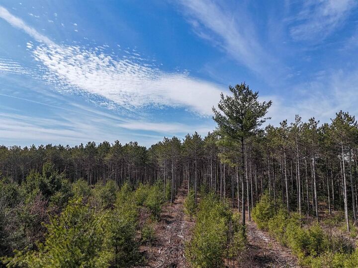 Property Photo:  19.81 Acres 6th Avenue  WI 53936 
