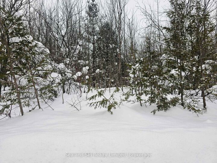 180 Bowles Bluff Road — photo 1
