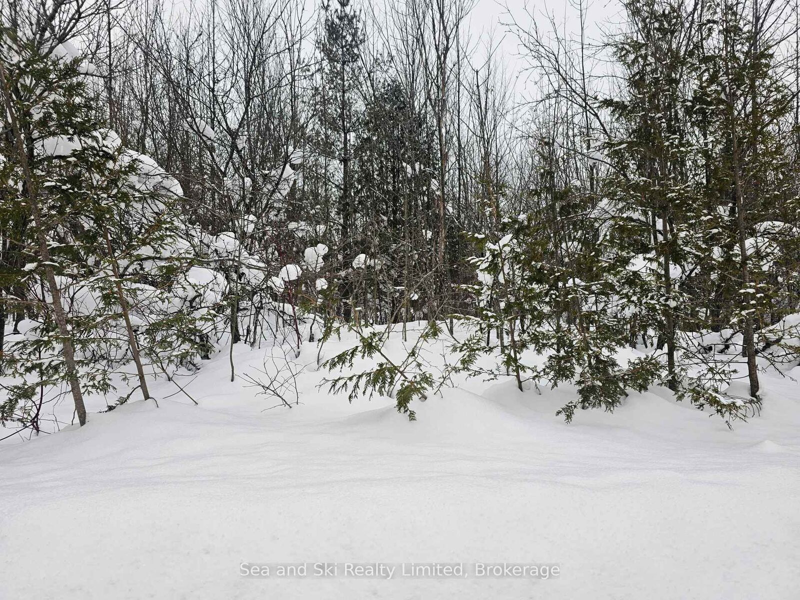 Property Photo:  180 Bowles Bluff Road  ON N0C 1H0 