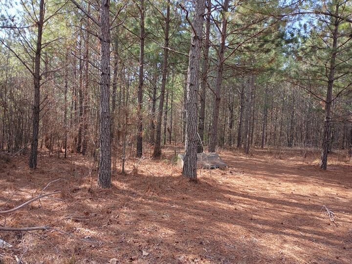 Property Photo:  289 River Road  GA 30705 