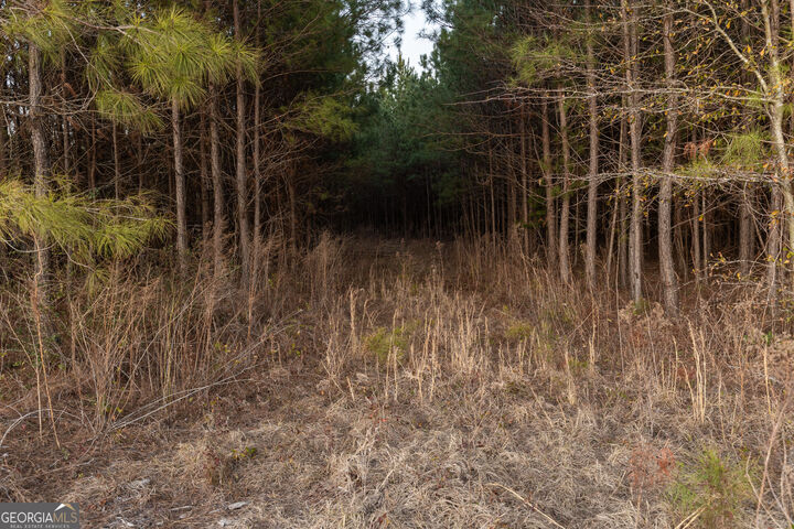 Property Photo:  0 Highway 26  GA 31065 