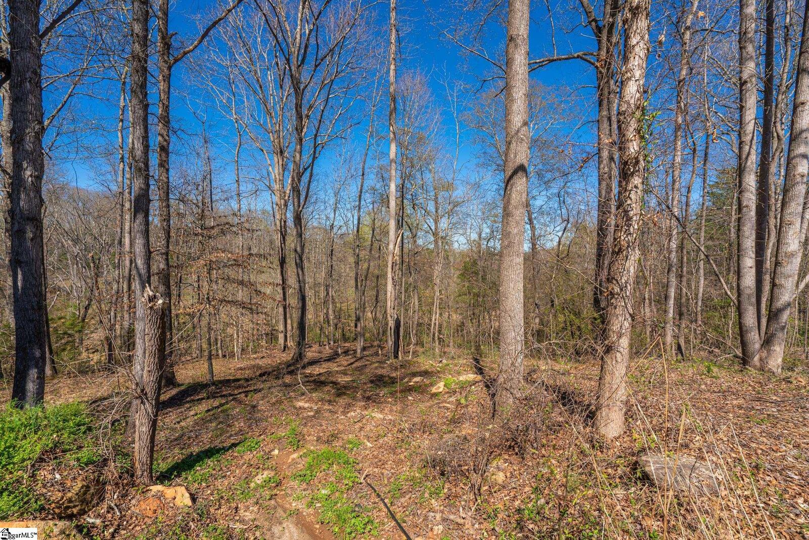 Property Photo:  6 Bagwell Place  SC 29302 