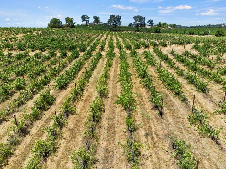 Property Photo:  21226 Dickson Road  CA 95669 