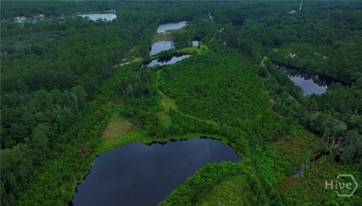 Property Photo:  0 Fort Argyle Road  GA 31419 