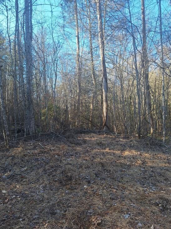 Property Photo:  Lots Mill Creek Acres  GA 30513 