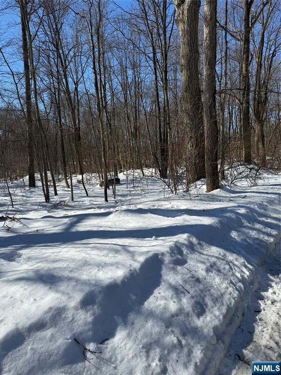 Property Photo:  15 Saw Mill Road  NJ 07405 