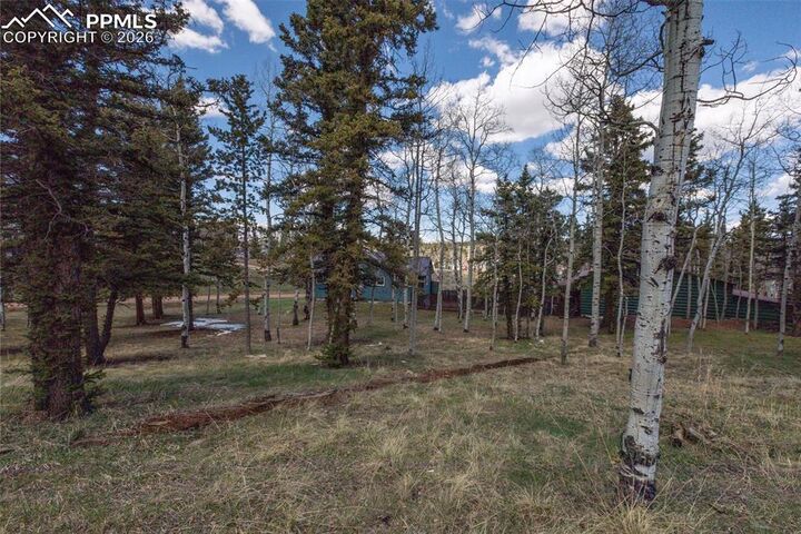 Property Photo: 571 Will Scarlet Drive CO 80814