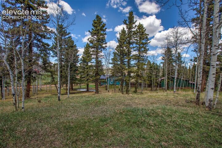 Property Photo: 571 Will Scarlet Drive CO 80814