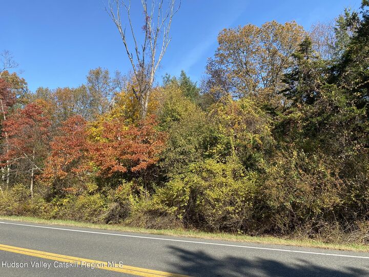 Property Photo: 0 Beaver (Jackson Crs) NY 12567