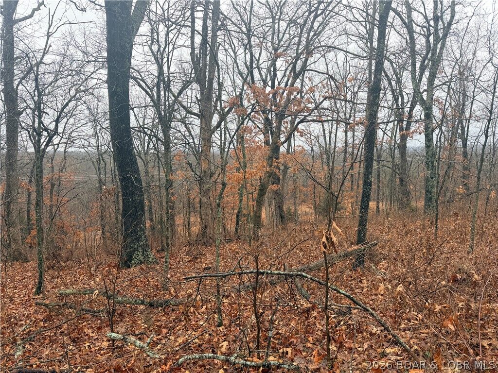 Property Photo: Nile Road MO 65078