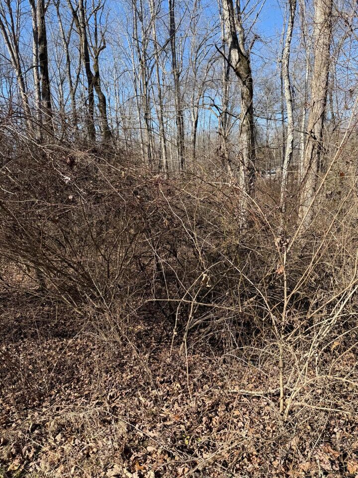 Property Photo:  122 Hickory Hollow Road  TN 38572 