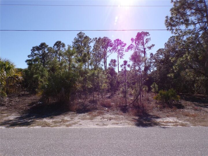 Property Photo: Hagerick Lane FL 34288