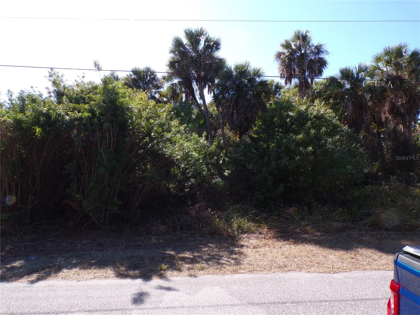 Property Photo:  Albatros Lane  FL 34288 