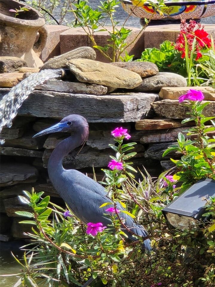 Property Photo:  8718 Fort Shea Avenue  FL 32822 