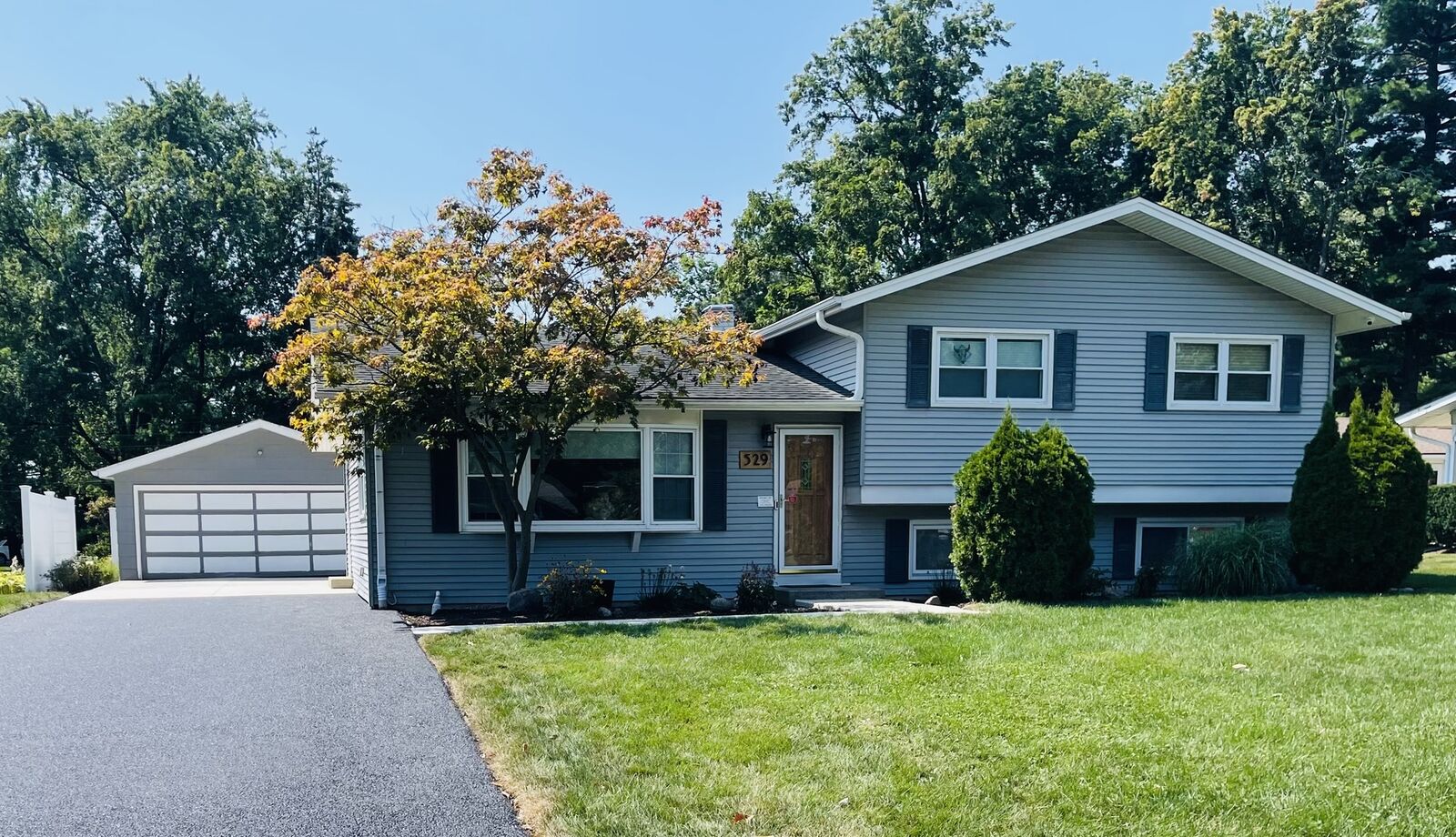 Property Photo:  529 Meadow Lane  IL 60532 