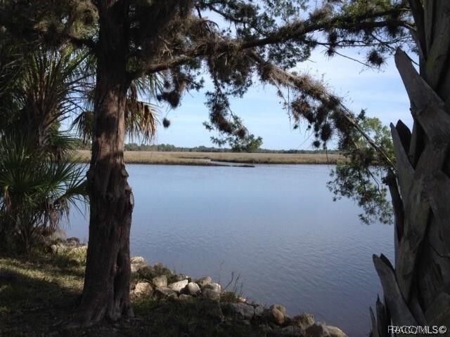 Property Photo: 11946 W Bald Eagle Court FL 34429