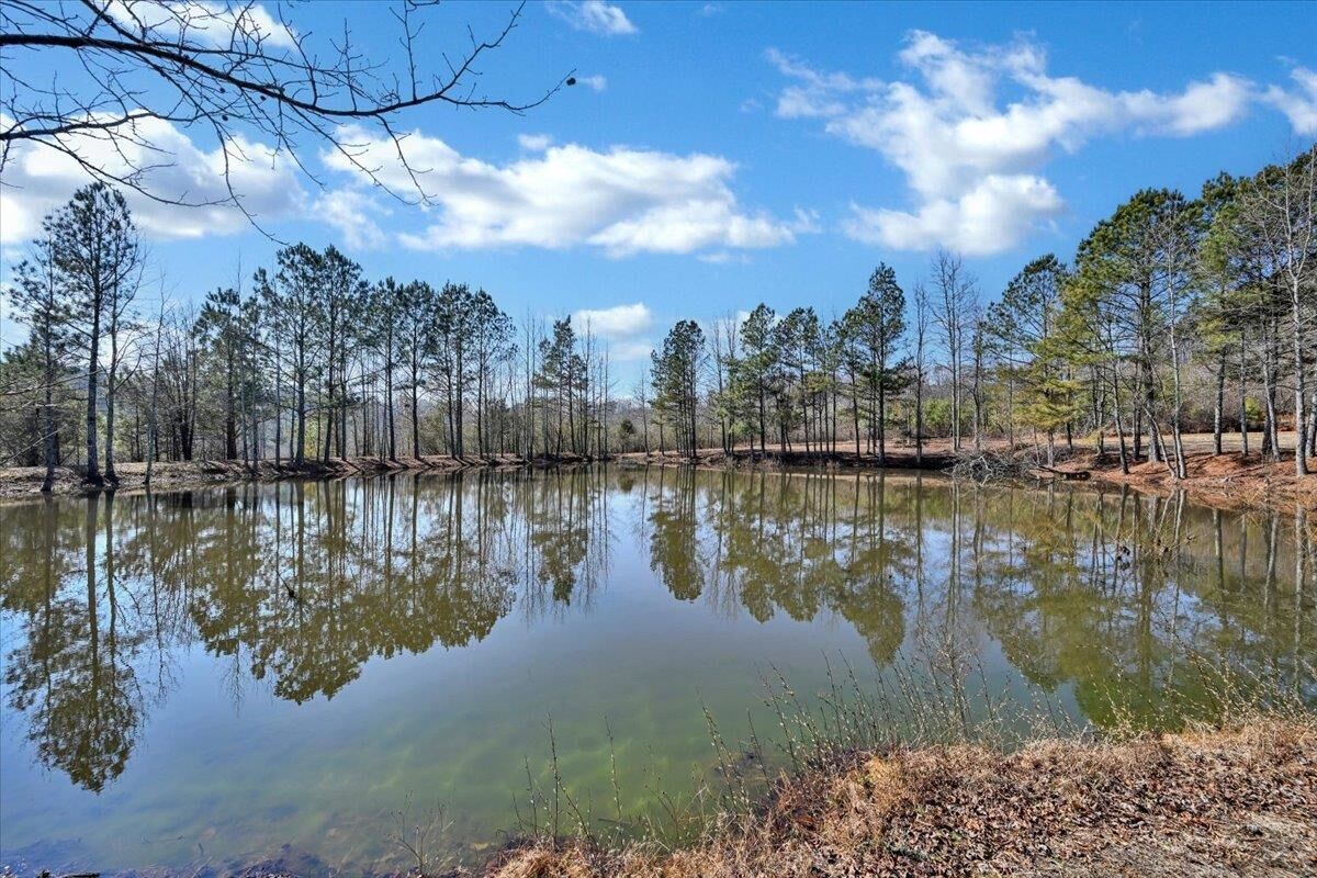 Property Photo:  00 Co Rd 1251  AL 35179 - VINEMONT 