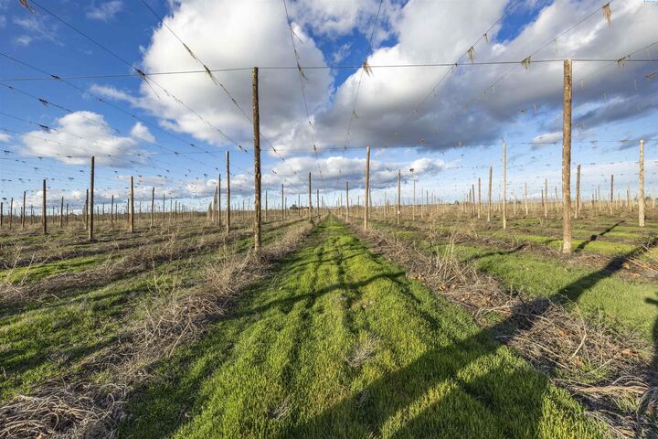 Property Photo:  Tbd W North River Rd  WA 99350 