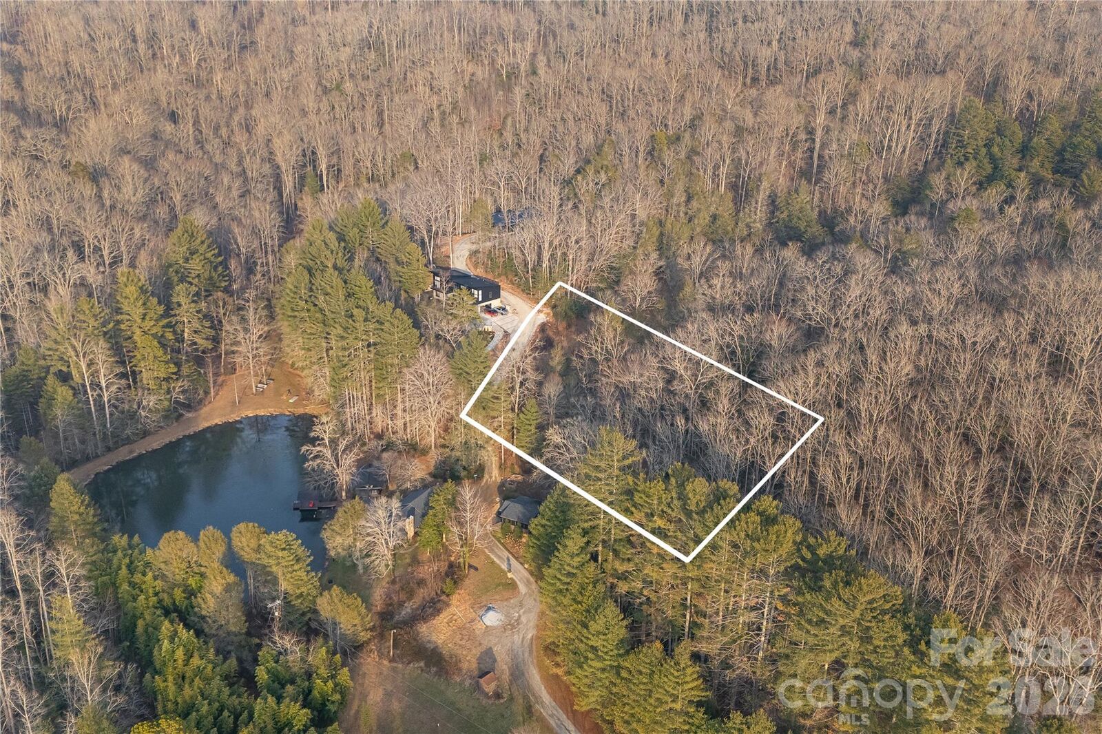 Property Photo:  0000 Red Eft Way  NC 28742 