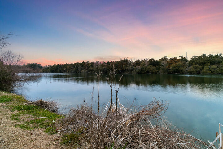 Property Photo:  1647 Paradise Lake Drive  SC 29464 