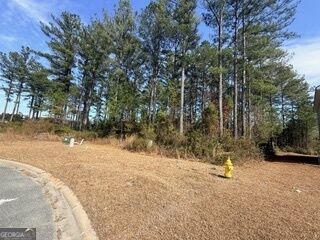 Property Photo: V/L 374 Beach Head Court GA 31548